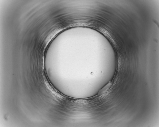 X0000102270844200808151902