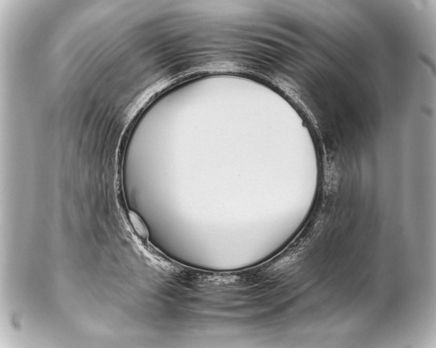 X0000102270845200808151902