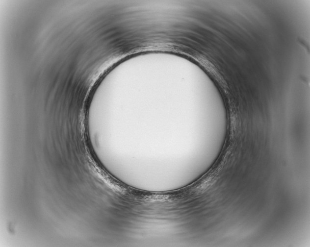 X0000102270846200808151902