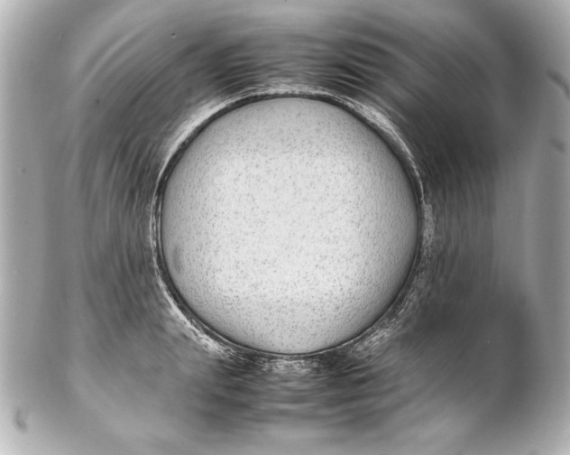 X0000102270847200808151902