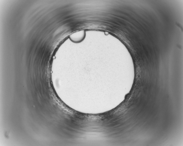 X0000102270848200808151902