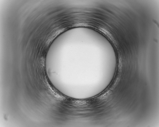 X0000102270849200808151902