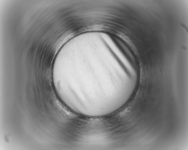 X0000102270850200808151902