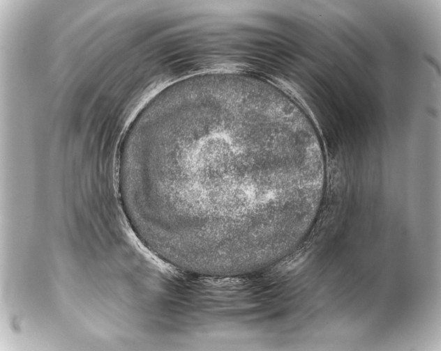 X0000102270851200808151902