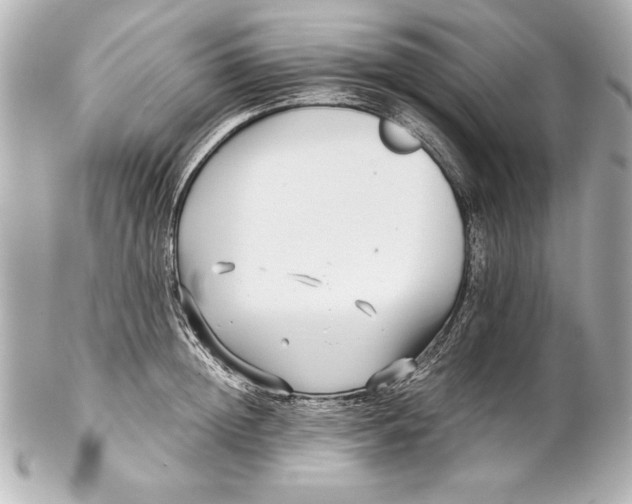 X0000102270852200808151902