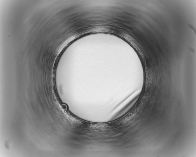 X0000102270853200808151903