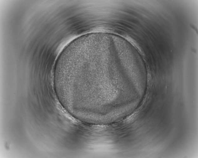 X0000102270854200808151903