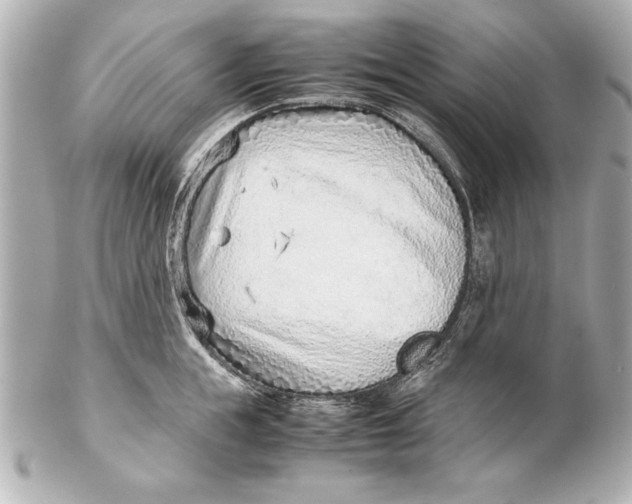 X0000102270855200808151903