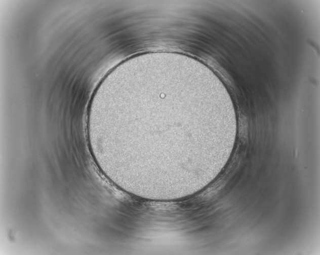 X0000102270856200808151903