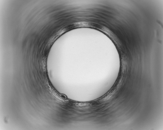 X0000102270857200808151903