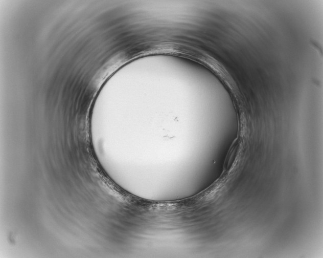 X0000102270858200808151903