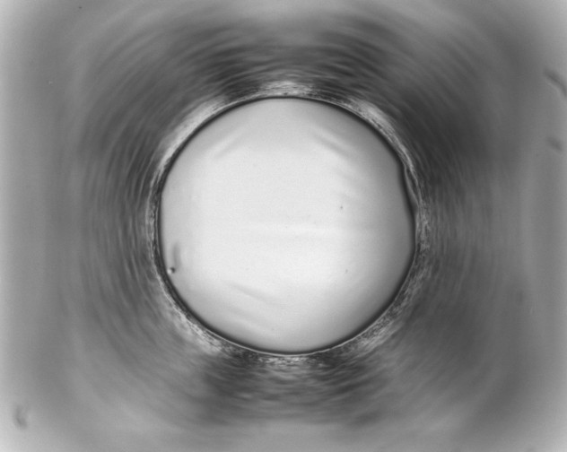 X0000102270859200808151903