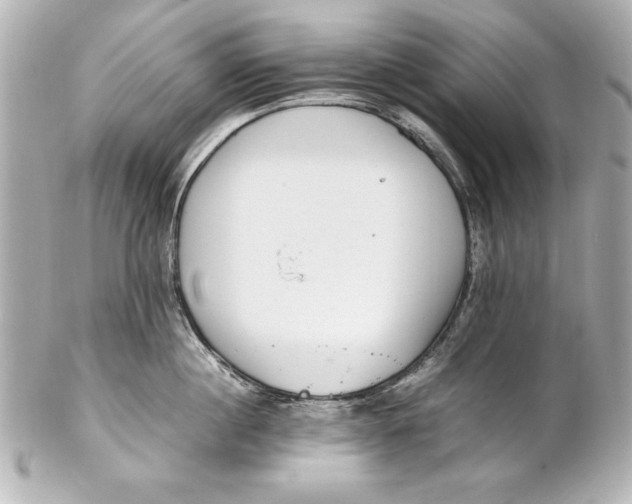 X0000102270860200808151903