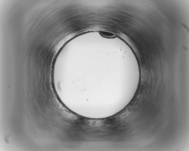 X0000102270861200808151903