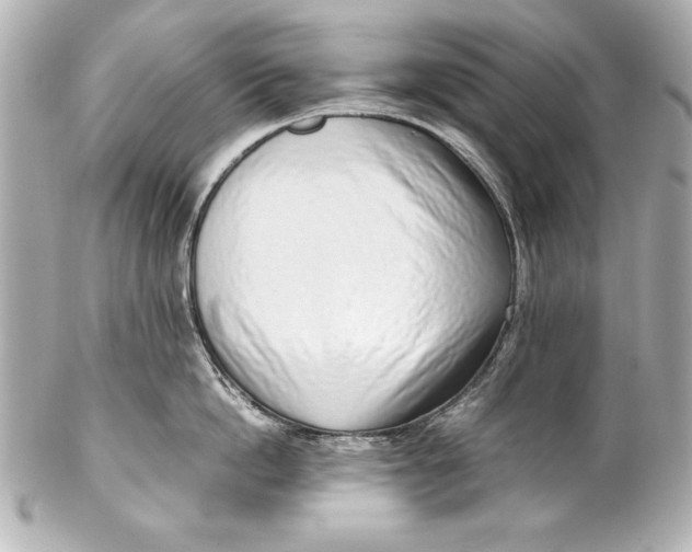 X0000102270862200808151903