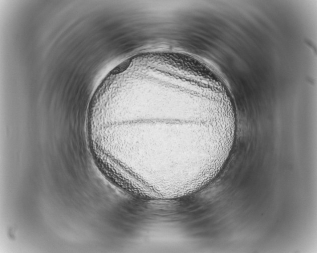 X0000102270863200808151903