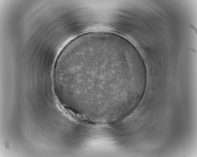 X0000102270864200808151903