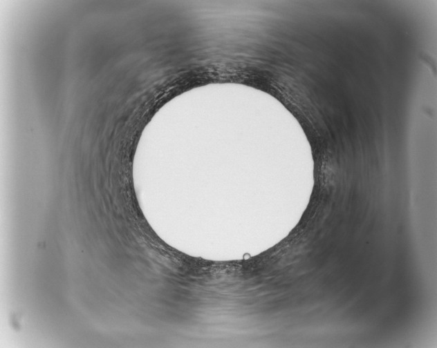 X0000102270865200808151902