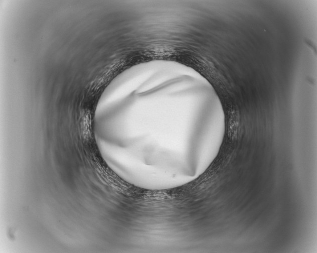 X0000102270866200808151902