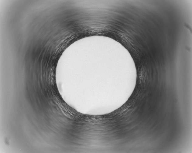 X0000102270868200808151902