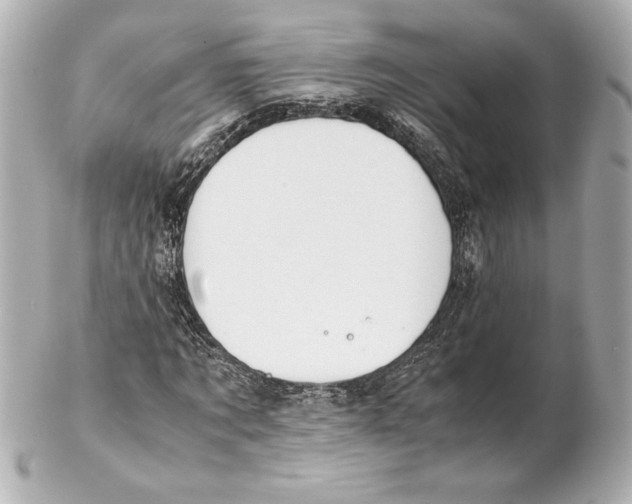 X0000102270869200808151902