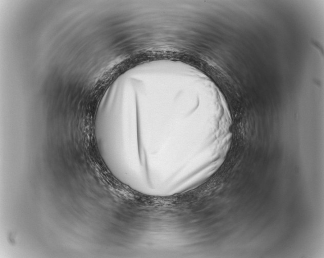 X0000102270870200808151902