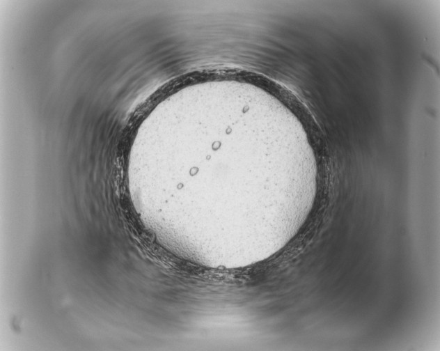 X0000102270871200808151902