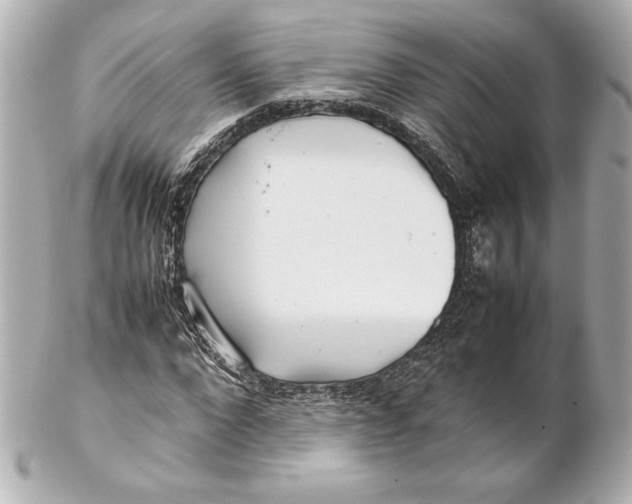 X0000102270872200808151902