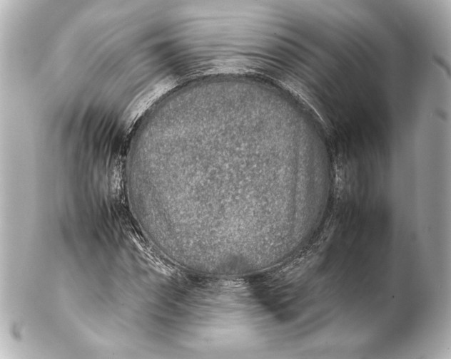 X0000102270874200808151902