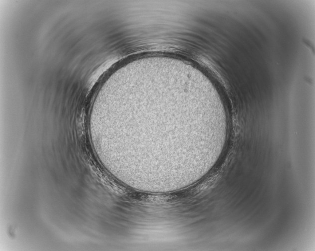 X0000102270875200808151902