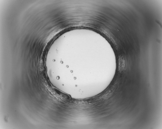 X0000102270876200808151902