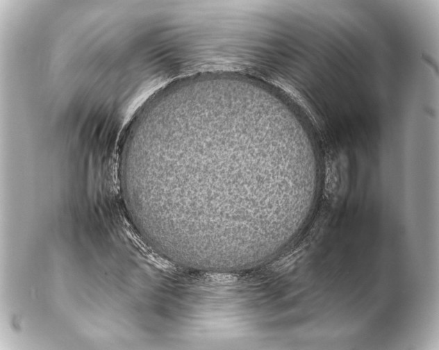 X0000102270878200808151902