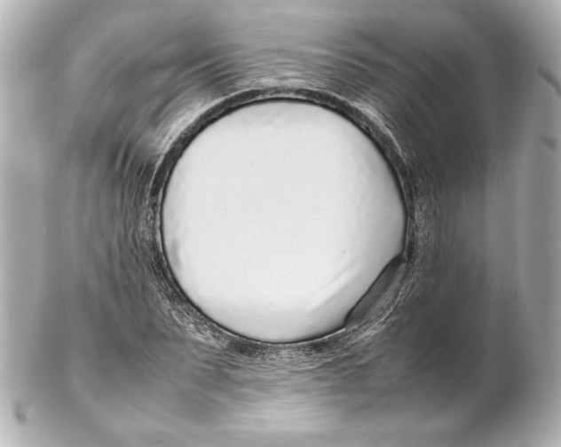 X0000102270879200808151902