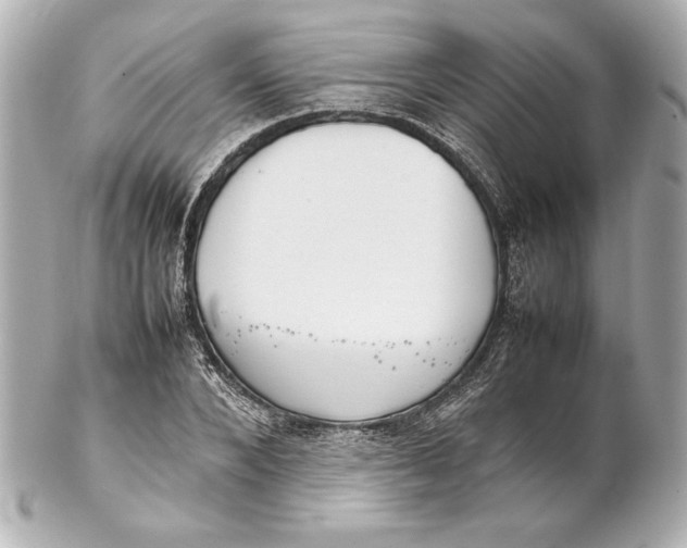 X0000102270880200808151902