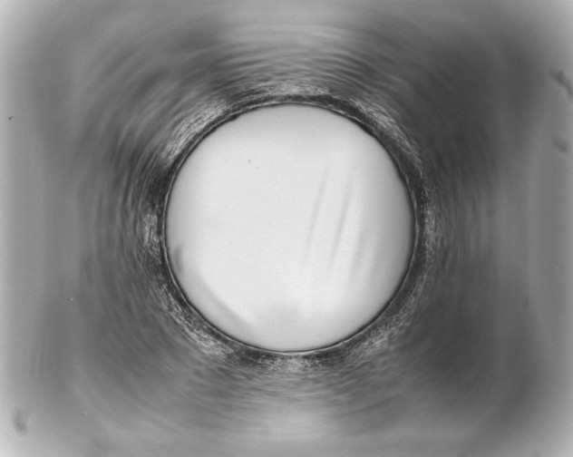 X0000102270881200808151902