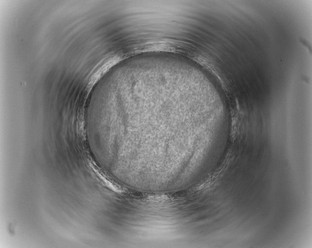 X0000102270882200808151902