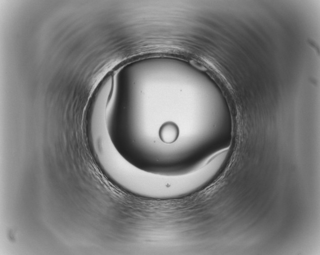 X0000102270883200808151902