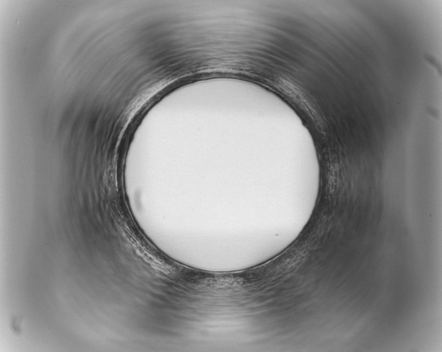 X0000102270884200808151902