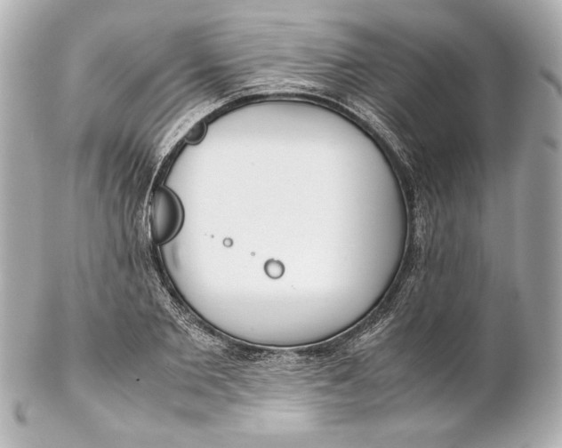 X0000102270885200808151902