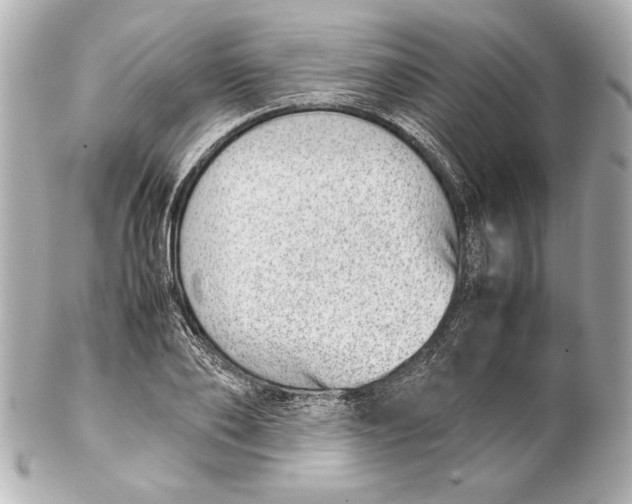 X0000102270886200808151902