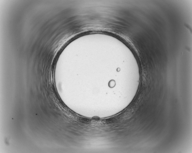 X0000102270887200808151902