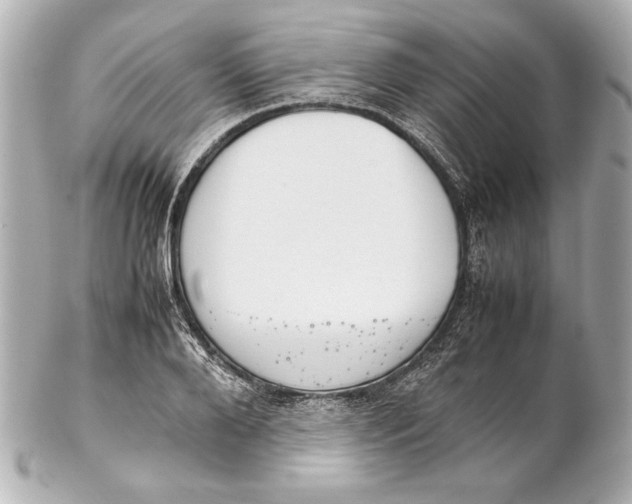 X0000102270888200808151902