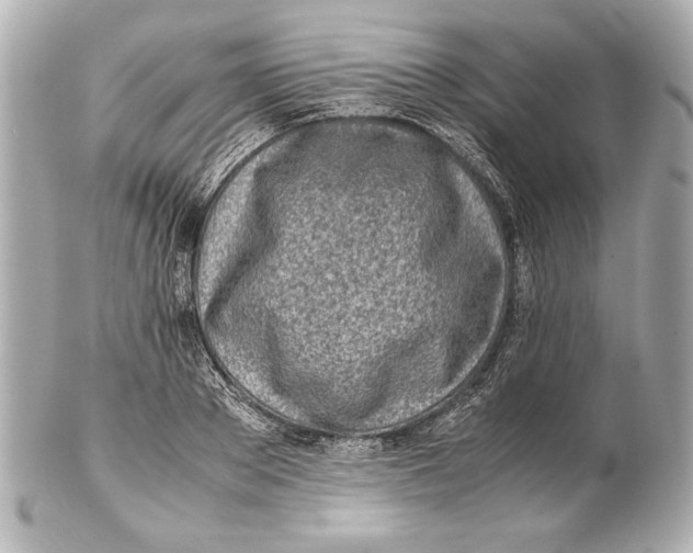 X0000102270889200808151902