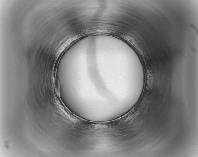 X0000102270890200808151902