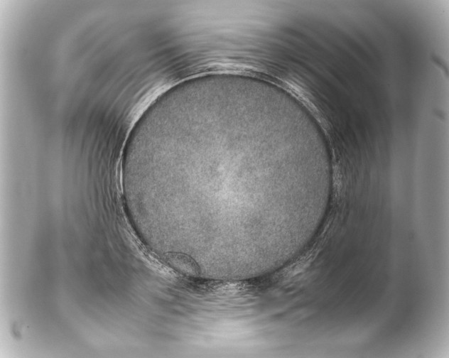 X0000102270891200808151902