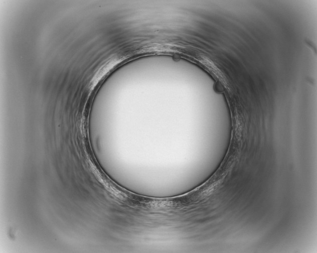 X0000102270893200808151902