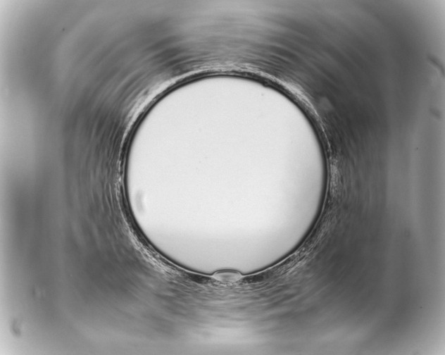 X0000102270895200808151902