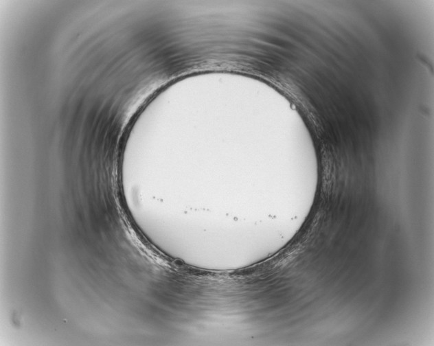 X0000102270896200808151902