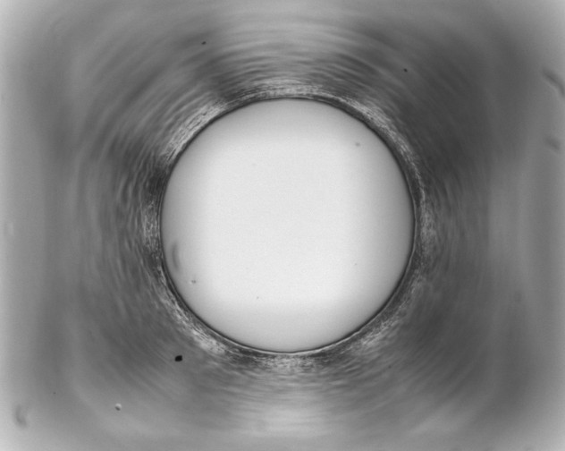 X0000102270897200808151902