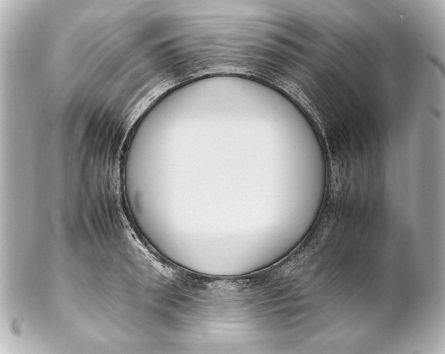 X0000102270898200808151902